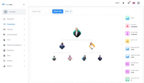 How to choose the right MLM plan: Why 70% of modern companies prefer the binary plan
