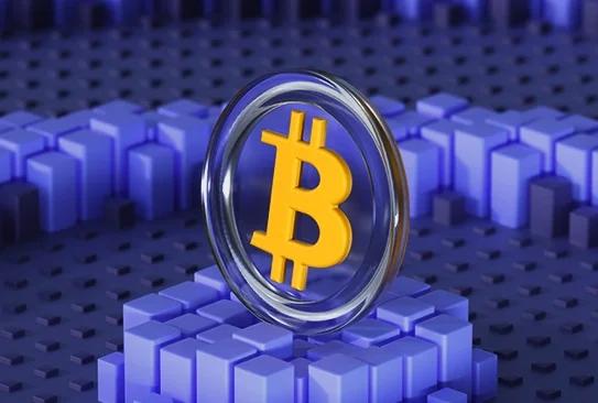Software MLM para criptomonedas Bitcoin