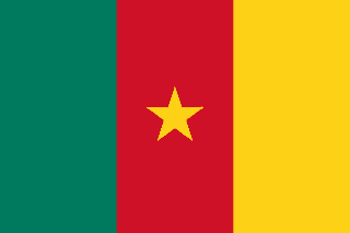 Flag of Cameroon