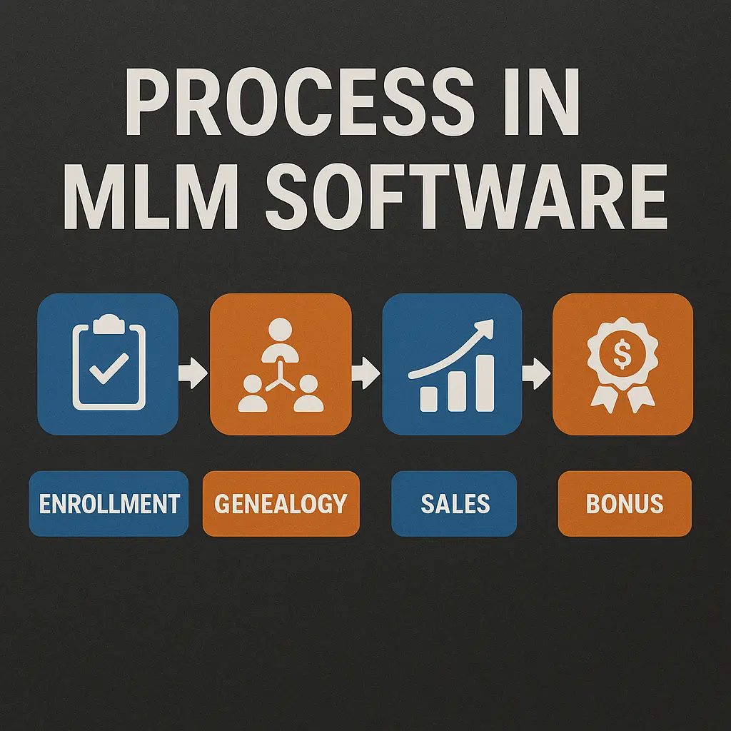 Processes In MLM Software Migration