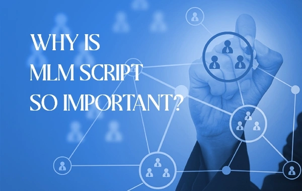 Why is MLM script so important?