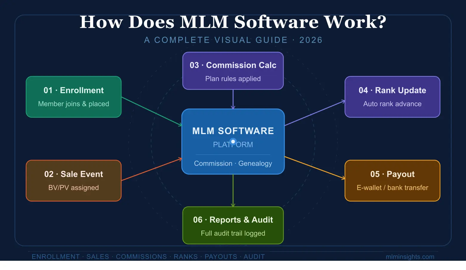How Does MLM Software Work? Complete Guide
